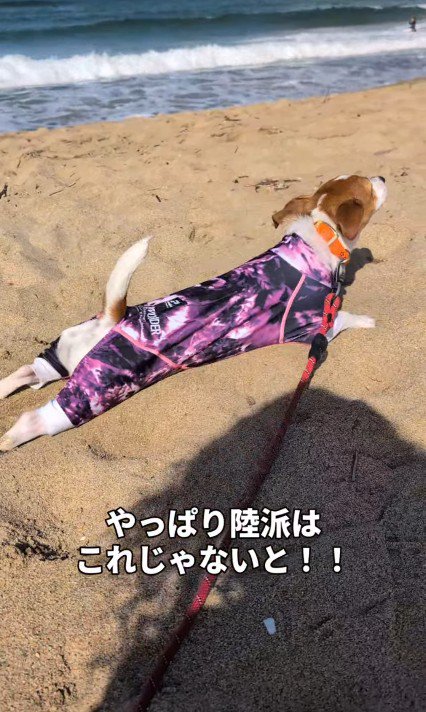 カイくんは砂遊び♪