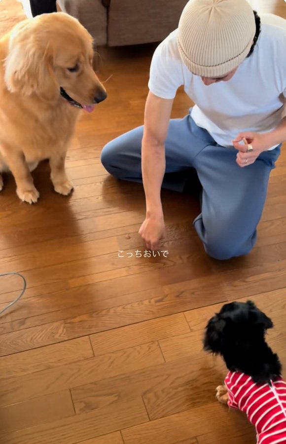 はなまるくんを呼ぶパパ