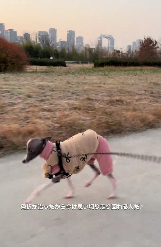 全速力で走れるように