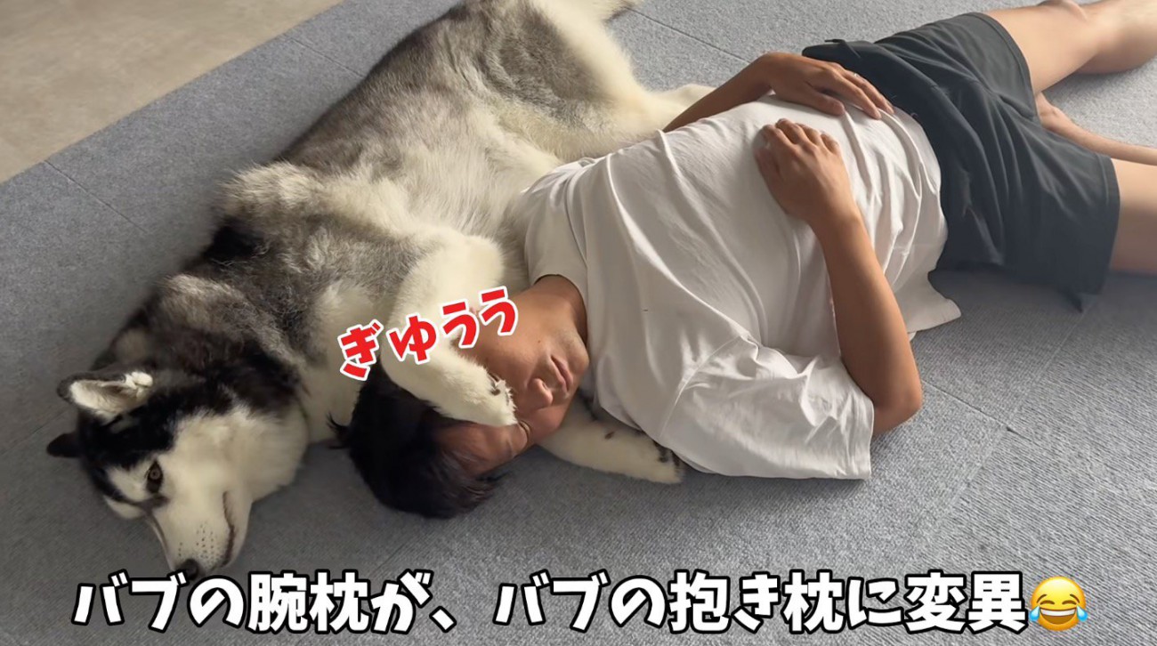 床に寝転がっている男性の頭の下に前足を入れるハスキー犬