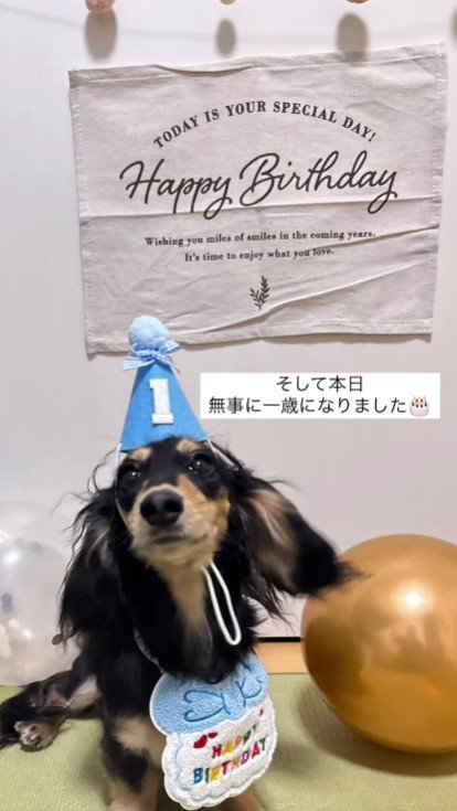 1歳を迎えることができました