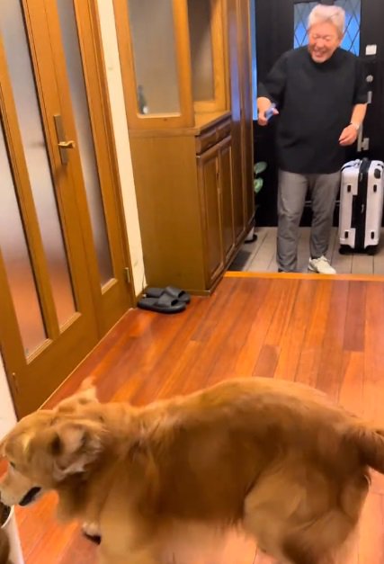 走り回るマッシュくん