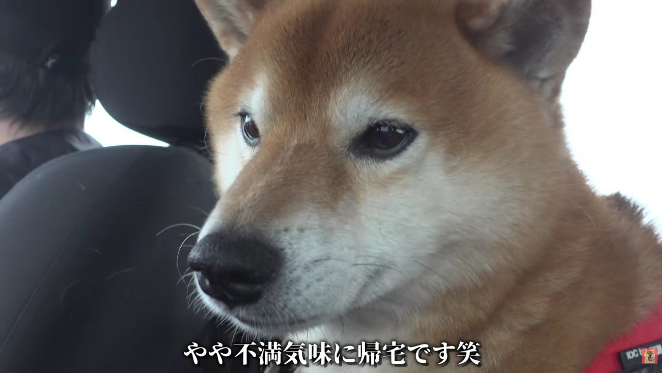 「やっぱり許せない…」