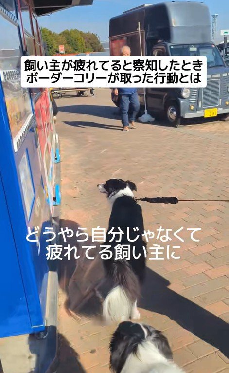 ジッピーくんの気遣い6