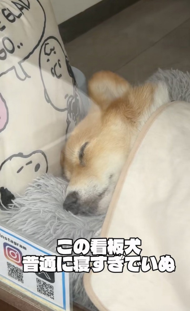 ZZZ…