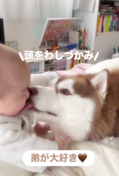 子煩悩な一面も♡