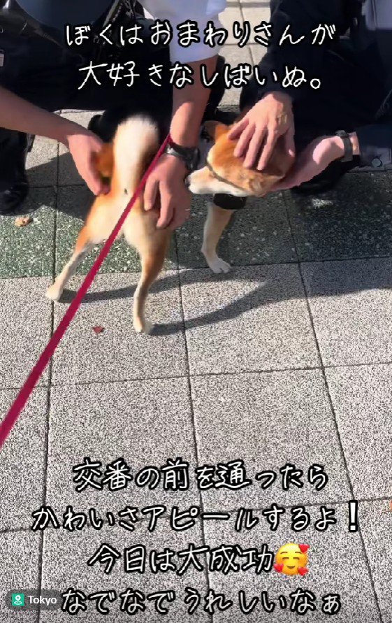 なんて平和な光景…！