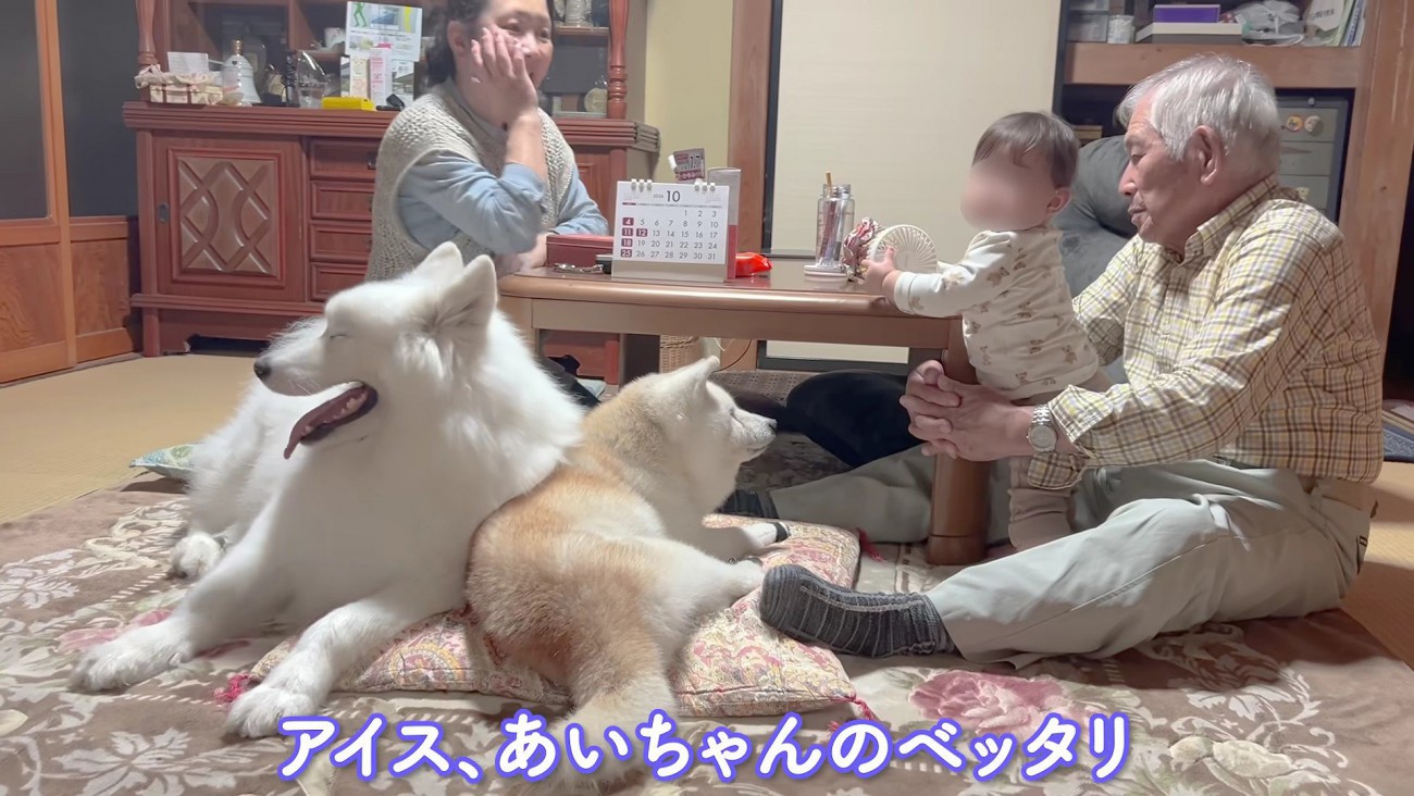 幸せな家族のワンシーンでした