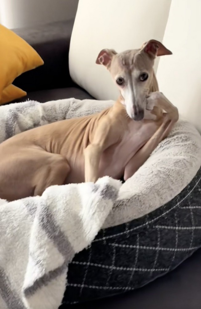 完璧な頬杖ポーズ