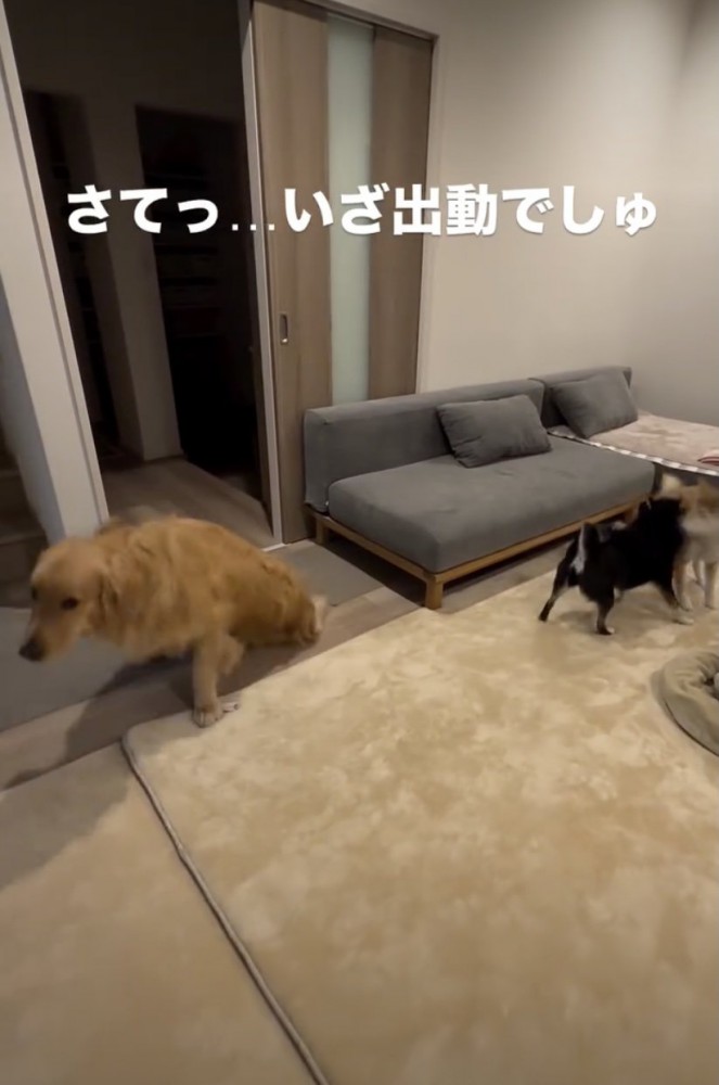 「今日もいくかぁ」