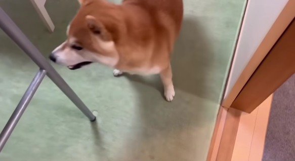 「どこにいるの？」