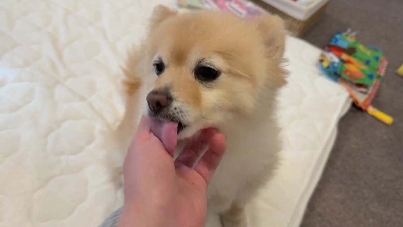 ときにはパパに甘えることも