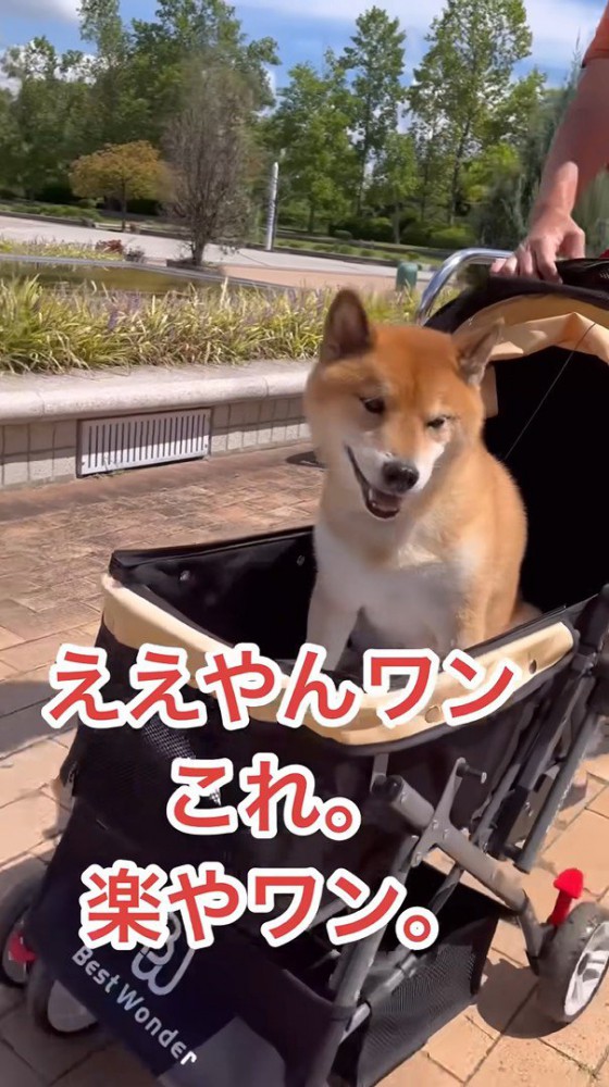 ご満悦の表情♪