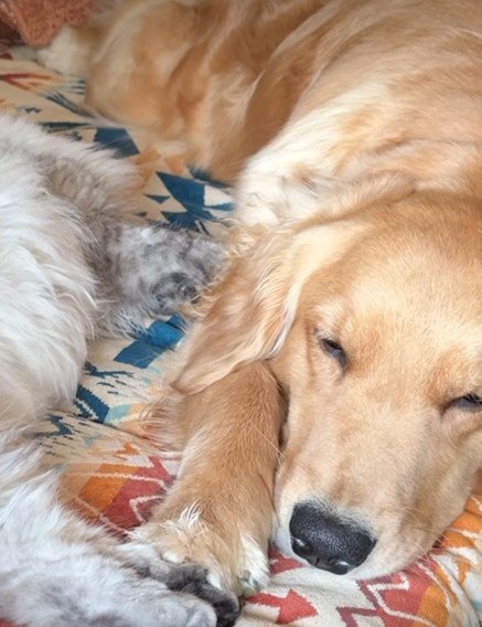 かけがえのない親友になったね