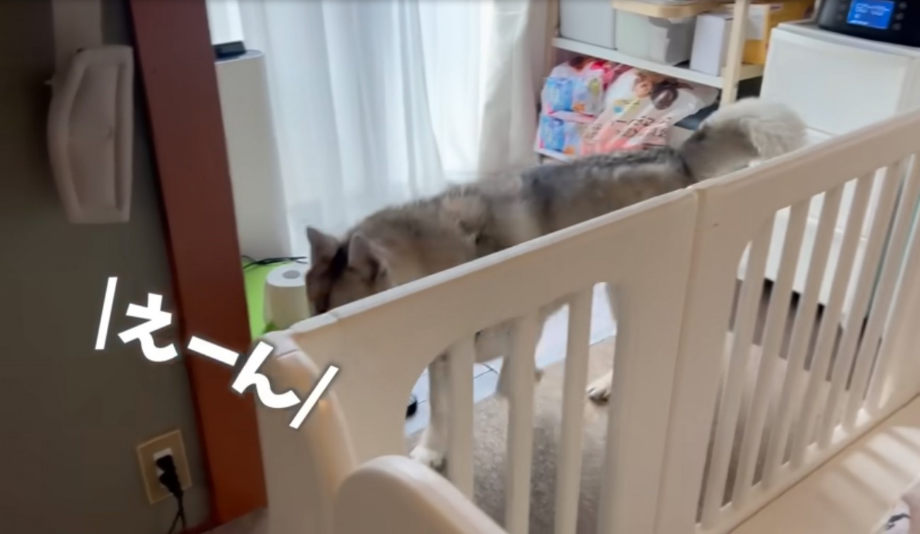 赤ちゃんが泣き出す