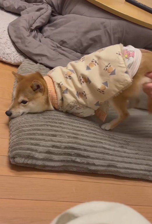 お尻を上げても効果ナシ