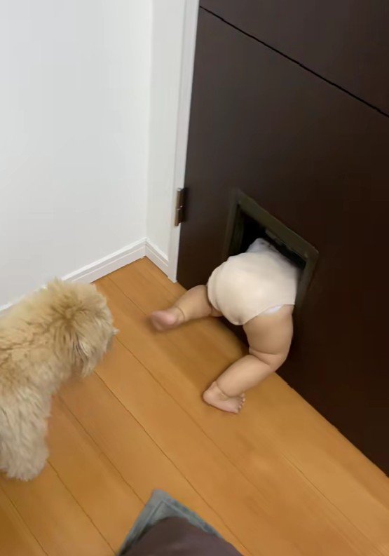 「とりあえず落ち着いて…」