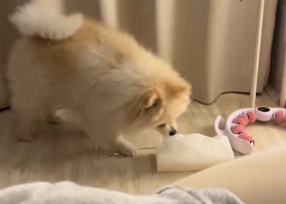 新しいティッシュを出したいときは…