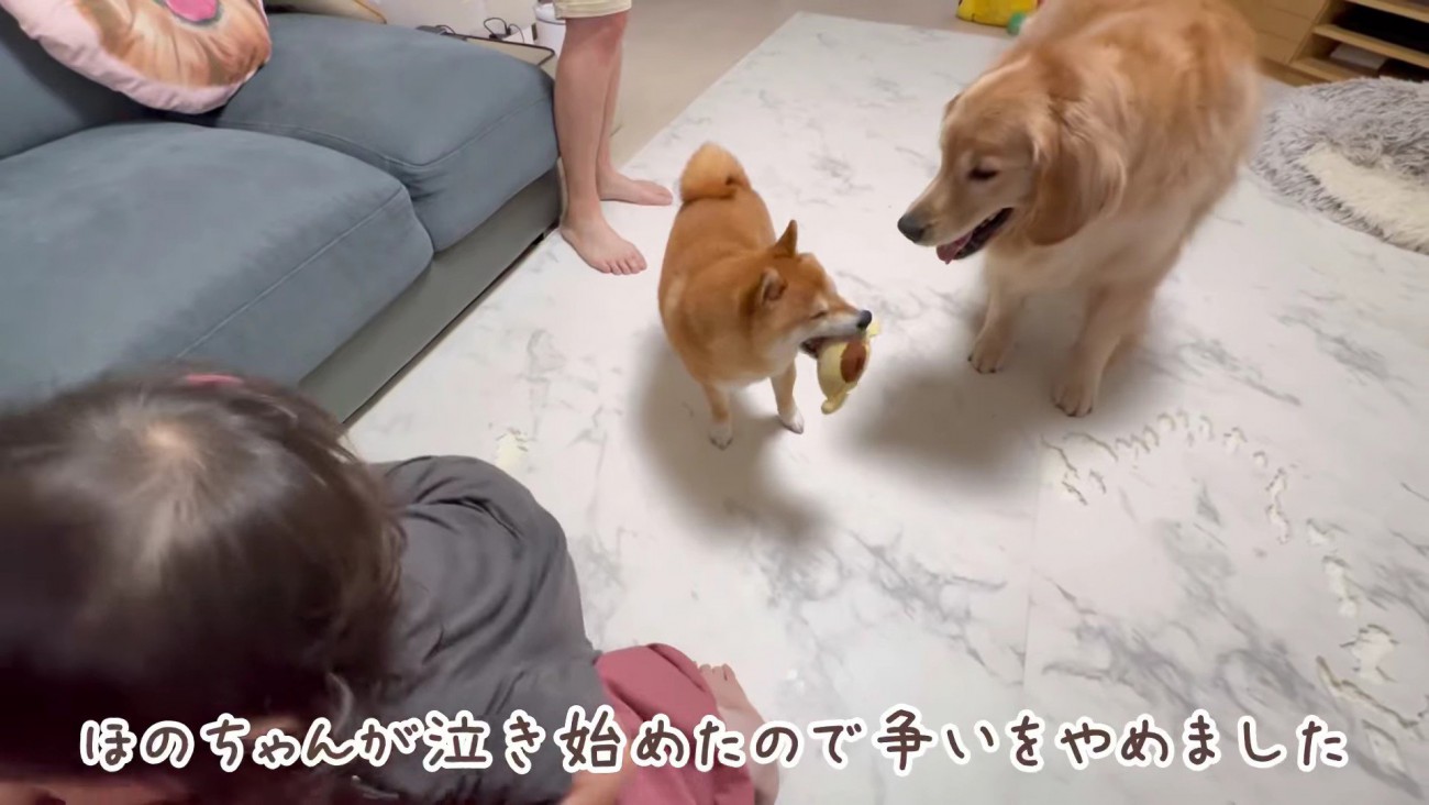 「ホラ！仲良しだよ！」