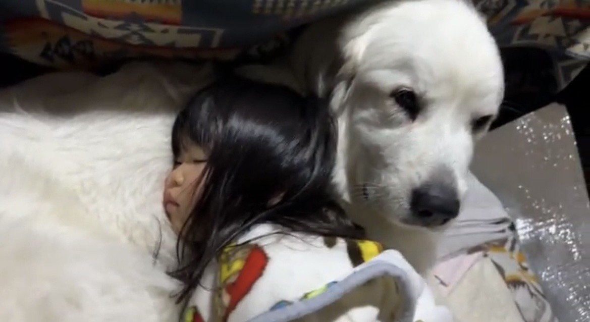 犬にもたれて眠る子ども