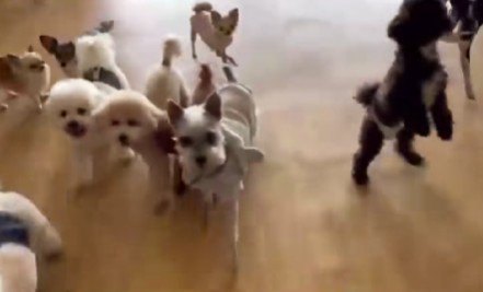 大はしゃぎのベアちゃんでした