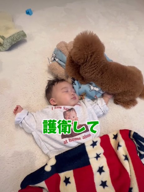 寝ている赤ちゃんと犬2