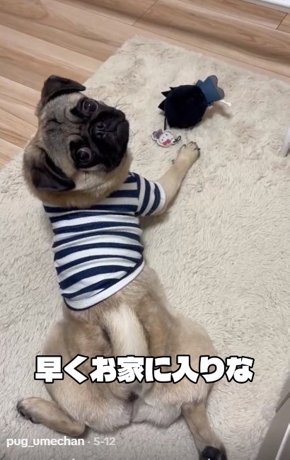 お家に入るよう伝えるパパ