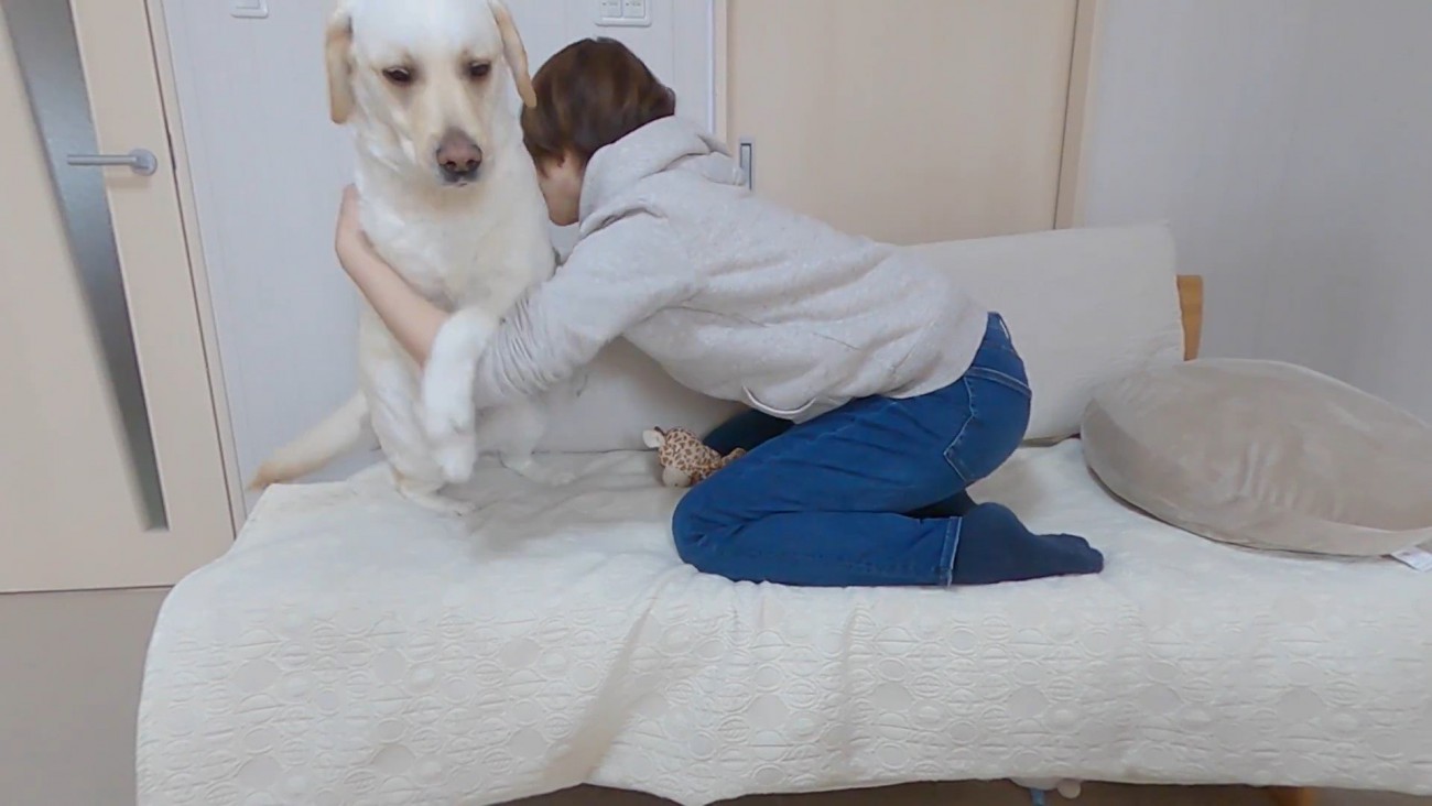 きなこちゃんとママさんの再会9