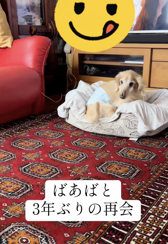よいしょ、よいしょ…！