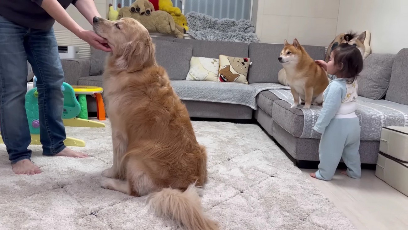 うにくんもなでなで