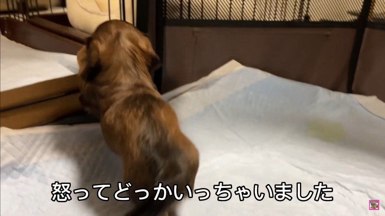 おもちゃを取られていじけるジャンボくん⑩