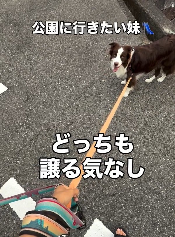 公園にいきたい りっかちゃん