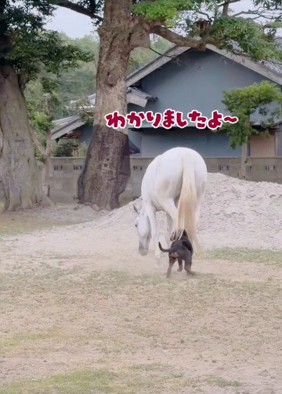 軽くあしらっても…