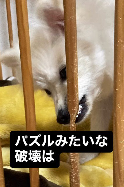 いたずらが豪快！！