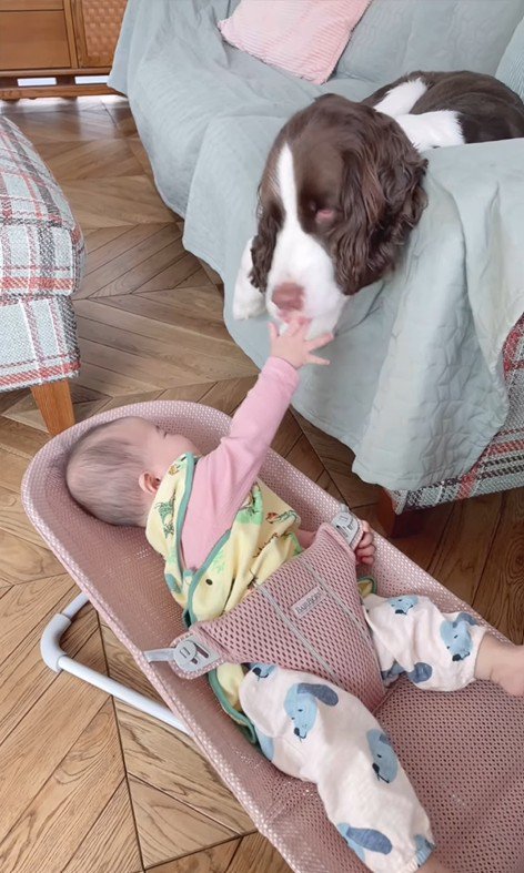 ププくんと娘さん5