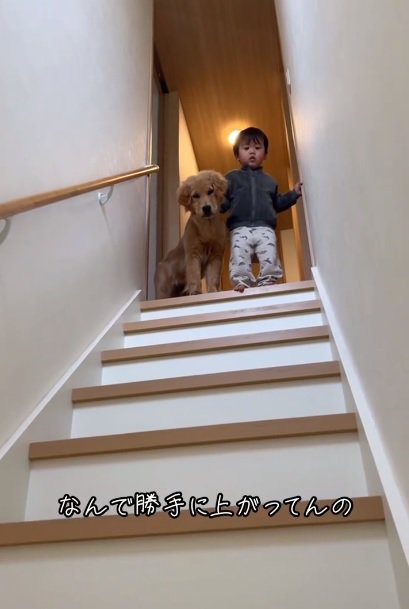 こっそり階段を登ったふたり