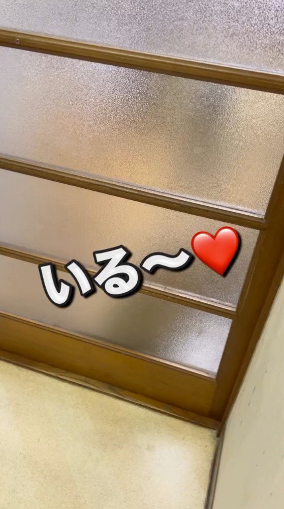 ドアのガラスに映る犬のシルエット