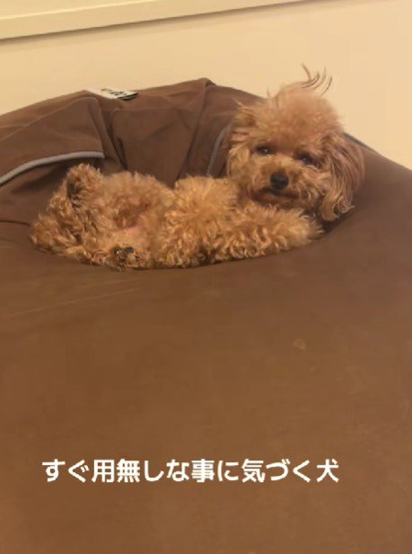 「えっなに？」