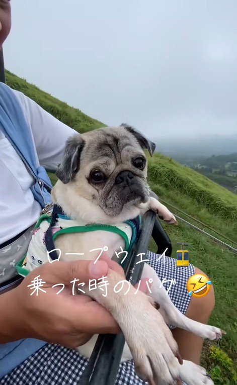 リフトに乗るデビちゃん3