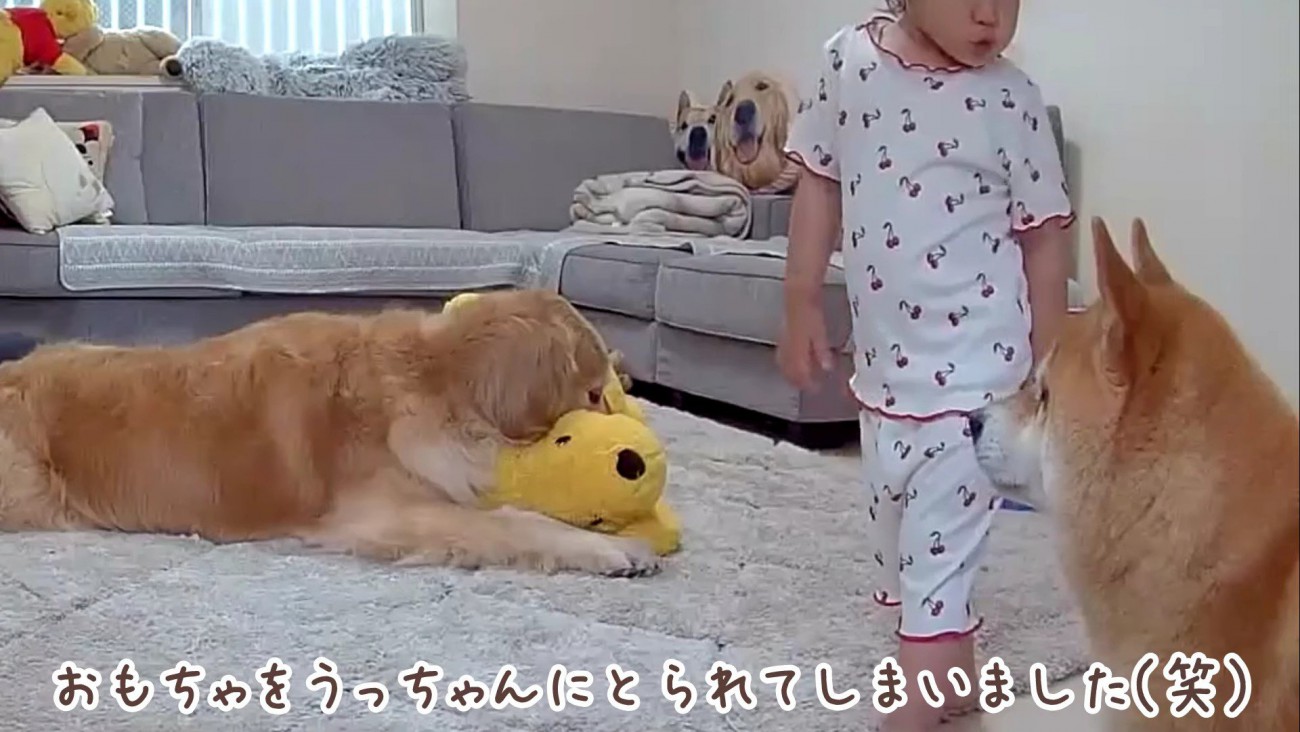 再びおもちゃを奪取