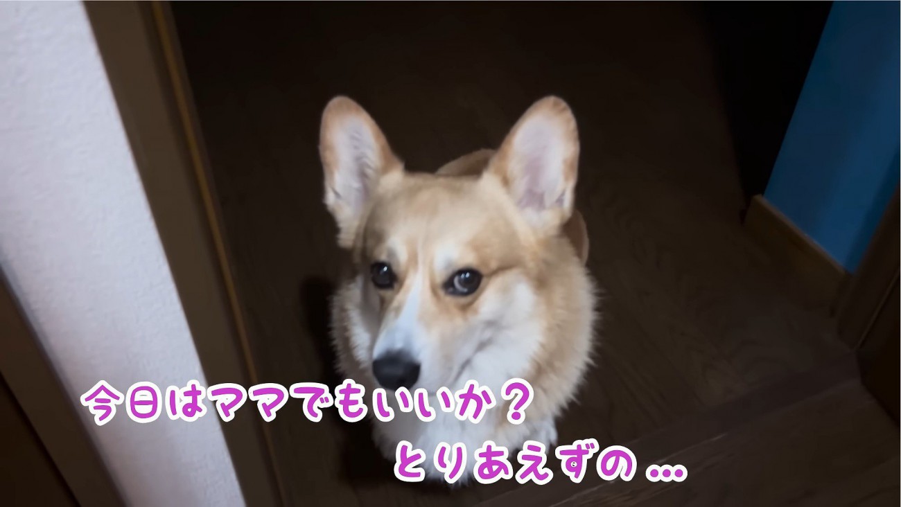 「お姉ちゃんと寝たいのに…」