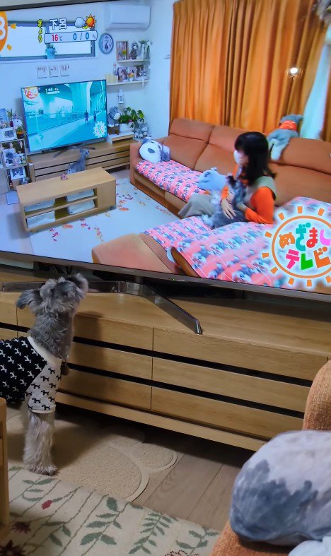 テレビに自分が出た時の風太くん7