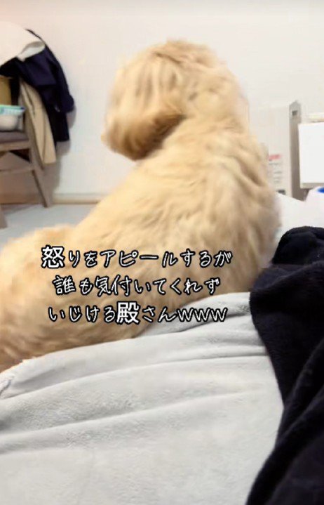 最強の構ってちゃん♡