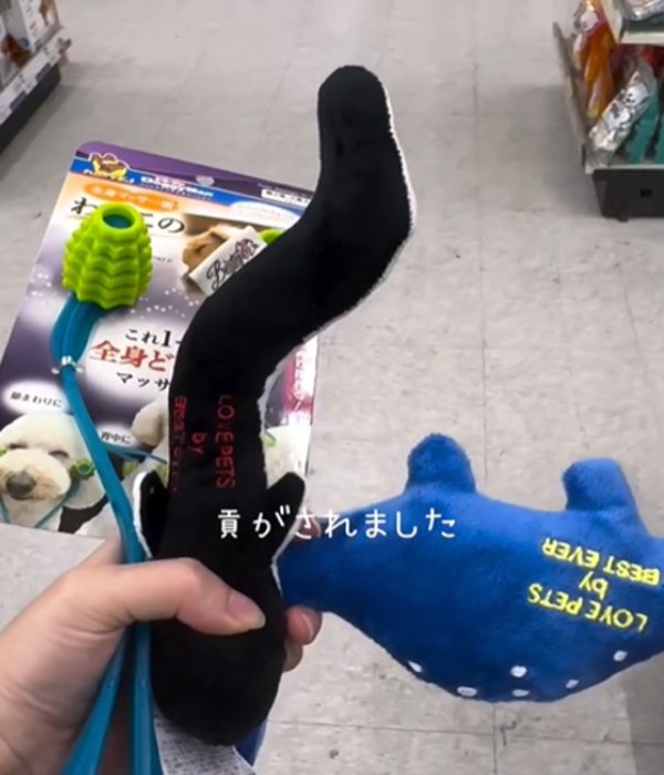 たくさんのおもちゃ