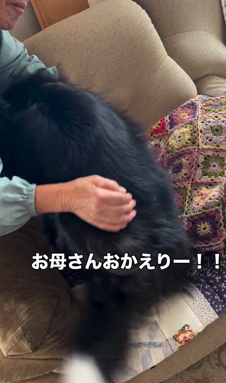 マリちゃんの熱烈歓迎8