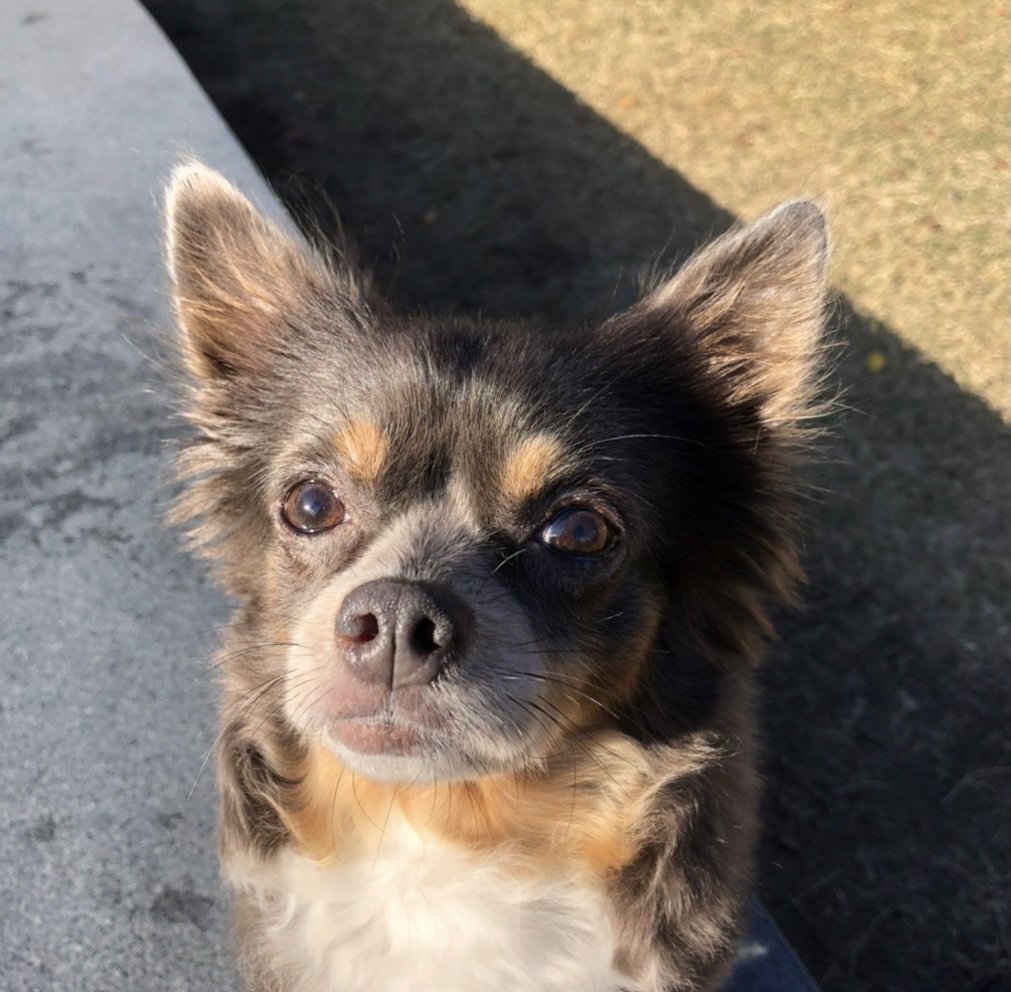 いつも側で寄り添ってくれた