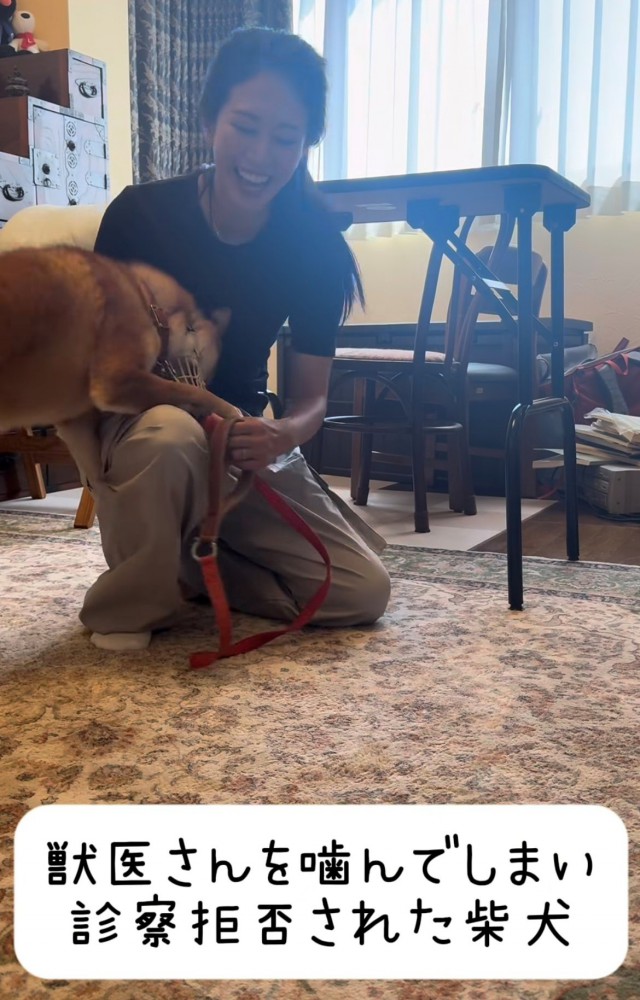 顔をうずめている犬