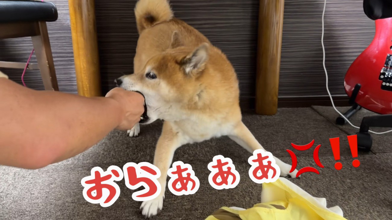 嫌すぎて激怒！