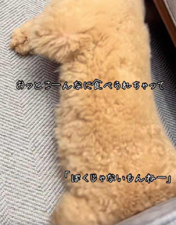突然ソファの下に！