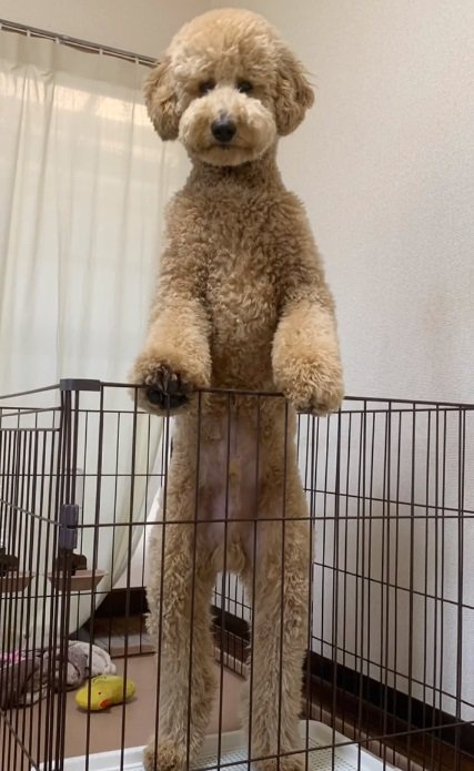 生後10か月のカムくん